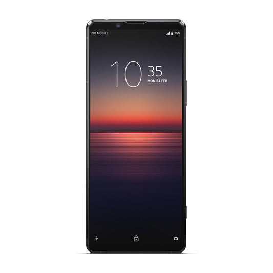 Begagnad Xperia 1 II 5G 256GB Gray - Använt skick (C) image 2