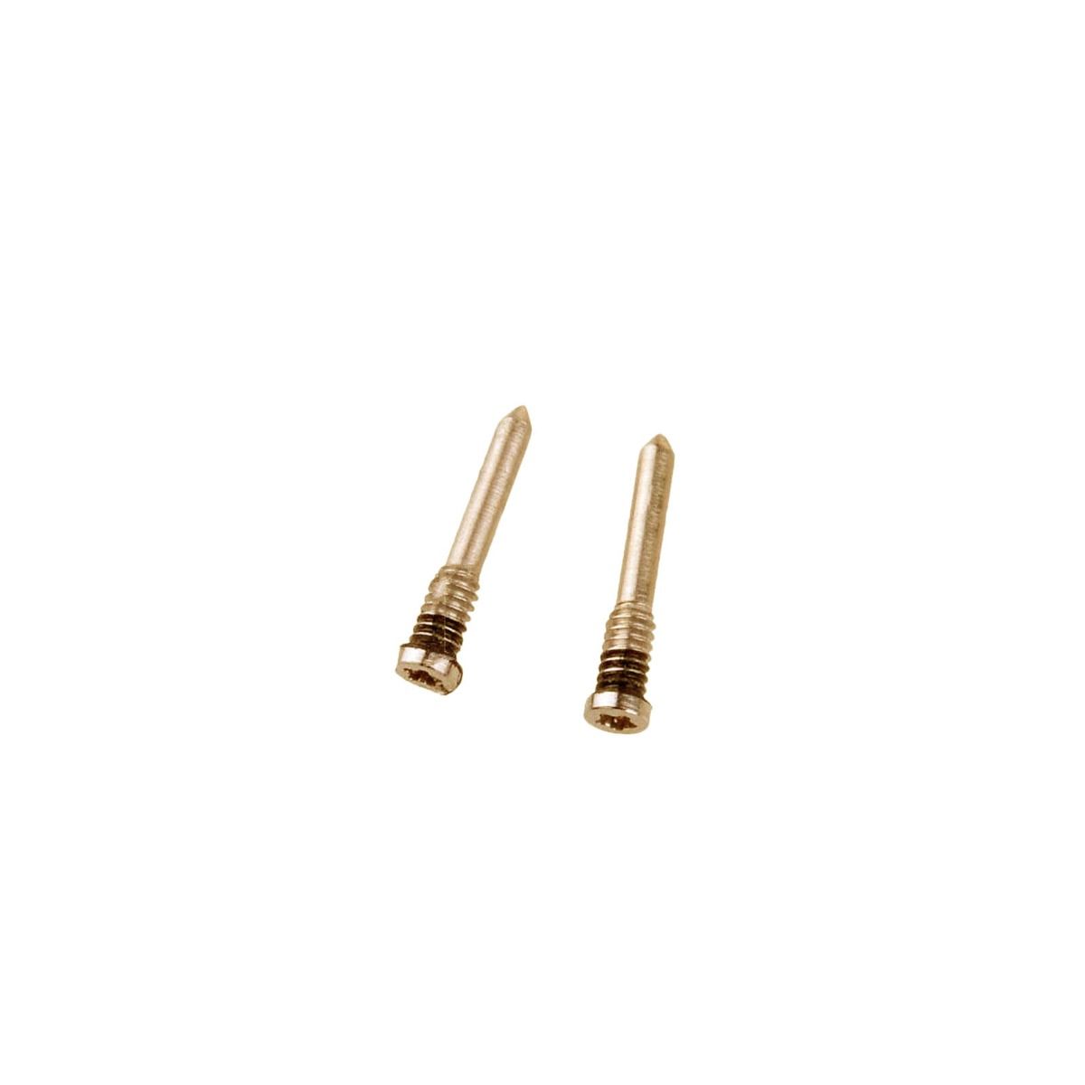 iPhone XS/XR/XS Max Bottenskruvar 2st - Guld image 1