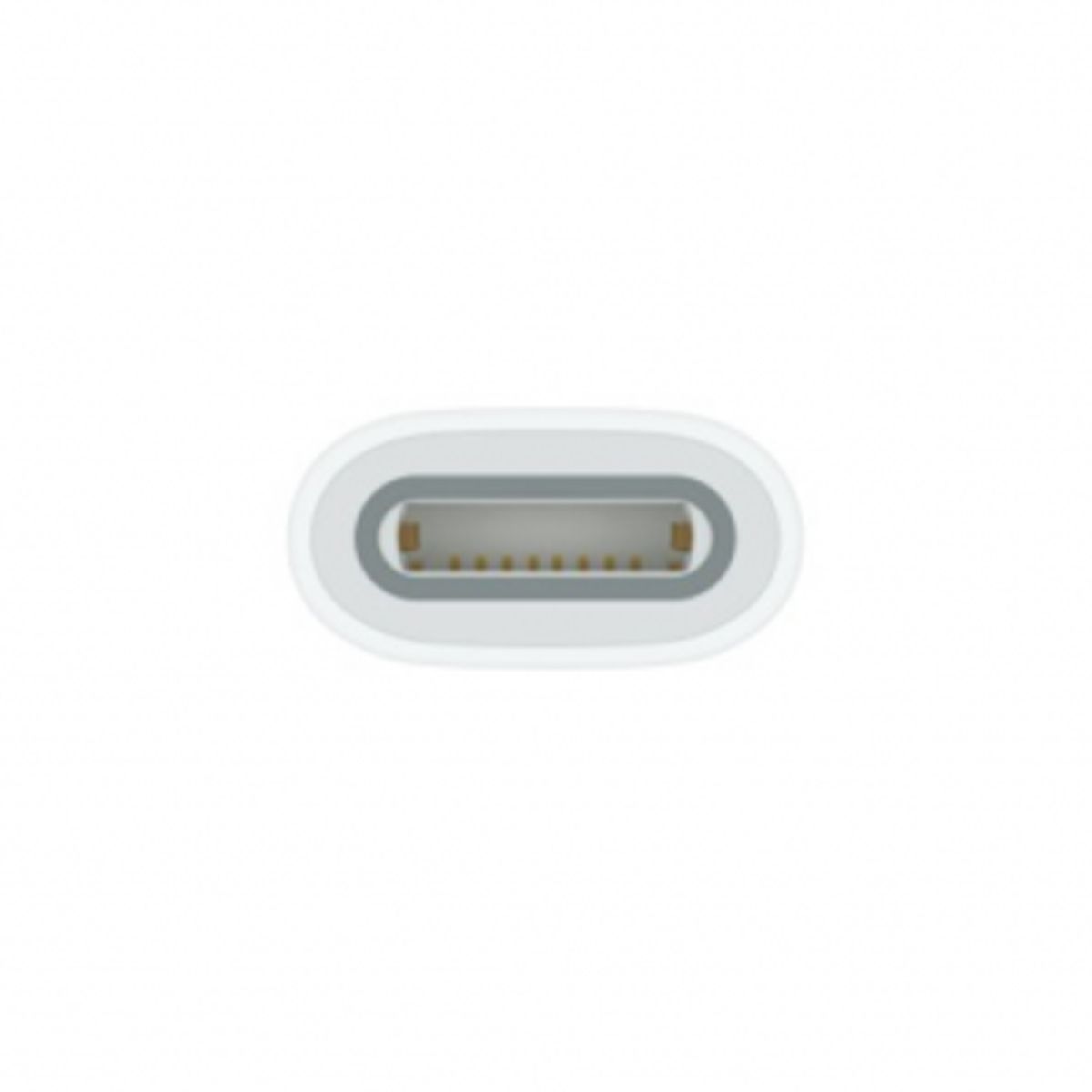 Apple USB-C to Apple Pencil Adapter, White