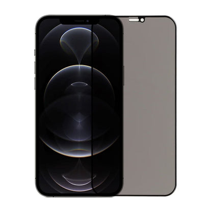 Skärmskydd iPhone 12 Pro Max - Privacy Härdat Glas (miljö) image 1